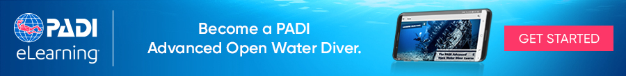 Padi Elearning