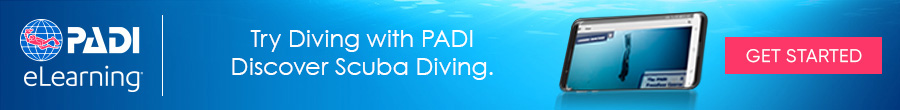 Padi Elearning