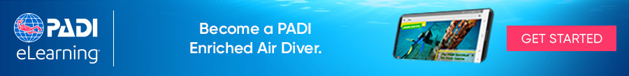 Padi Elearning