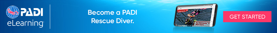 Padi Elearning