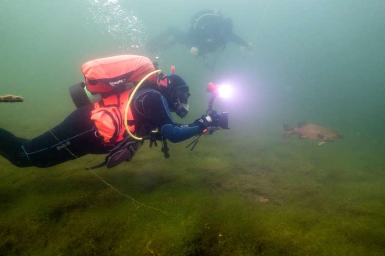 Taking Photo of a fish