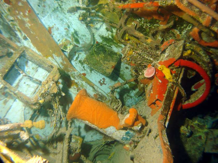 2019 - Wreck of the Captain Keith Tibbetts - Russian Frigate 356