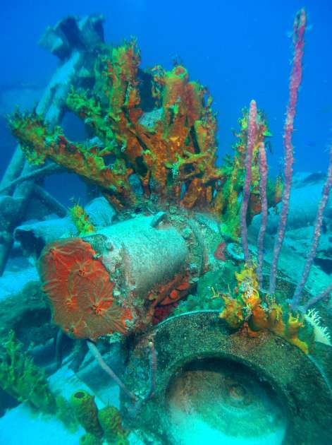 2019 - Wreck of the Captain Keith Tibbetts - Russian Frigate 356