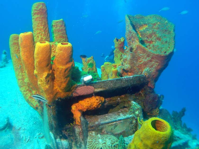 2019 - Wreck of the Captain Keith Tibbetts - Russian Frigate 356