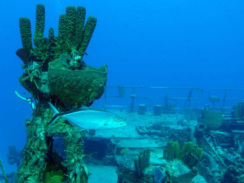 2019 - Wreck of the Captain Keith Tibbetts - Russian Frigate 356