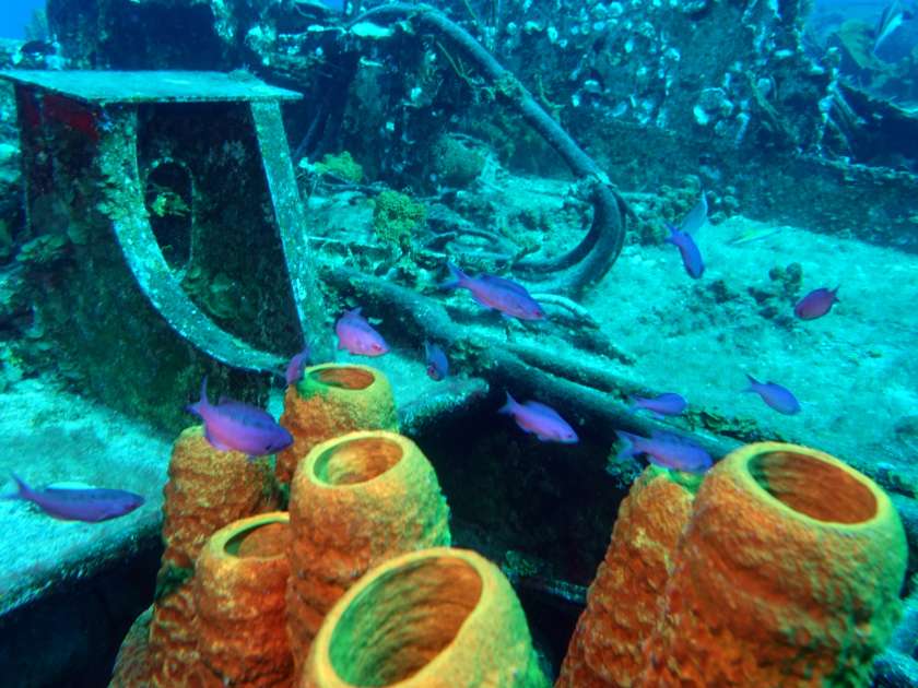 2019 - Wreck of the Captain Keith Tibbetts - Russian Frigate 356