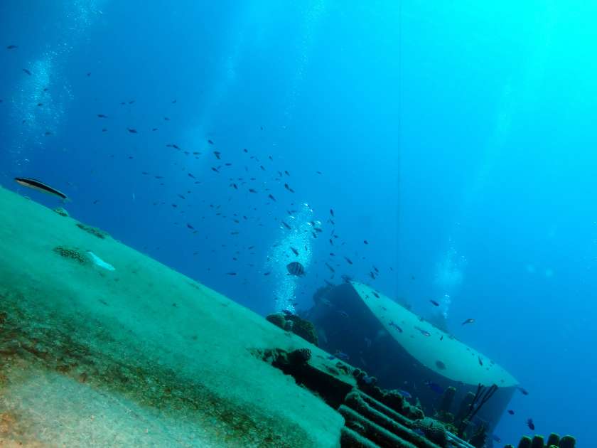 2019 - Wreck of the Captain Keith Tibbetts - Russian Frigate 356