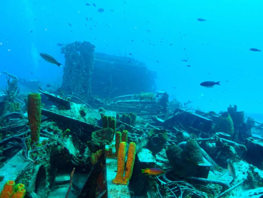 2019 - Wreck of the Captain Keith Tibbetts - Russian Frigate 356